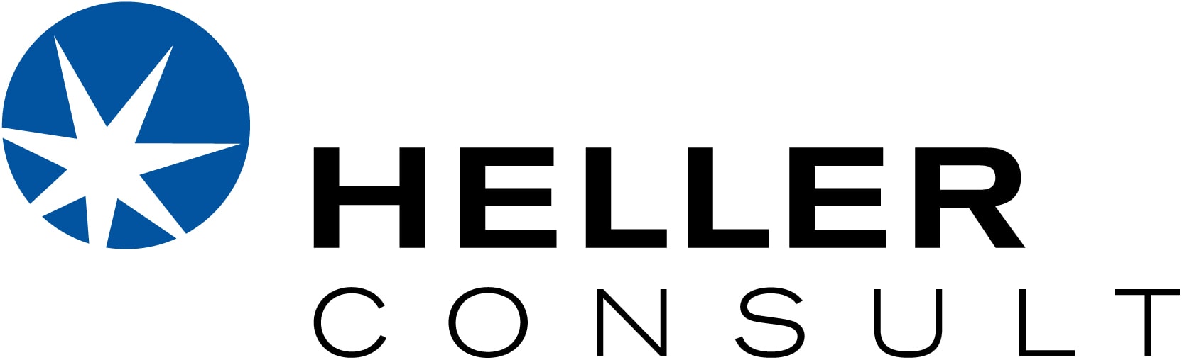 Heller Consult Tax and Business Solutions GmbH logo