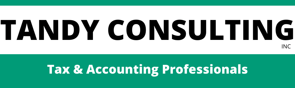 Tandy Consulting Inc logo