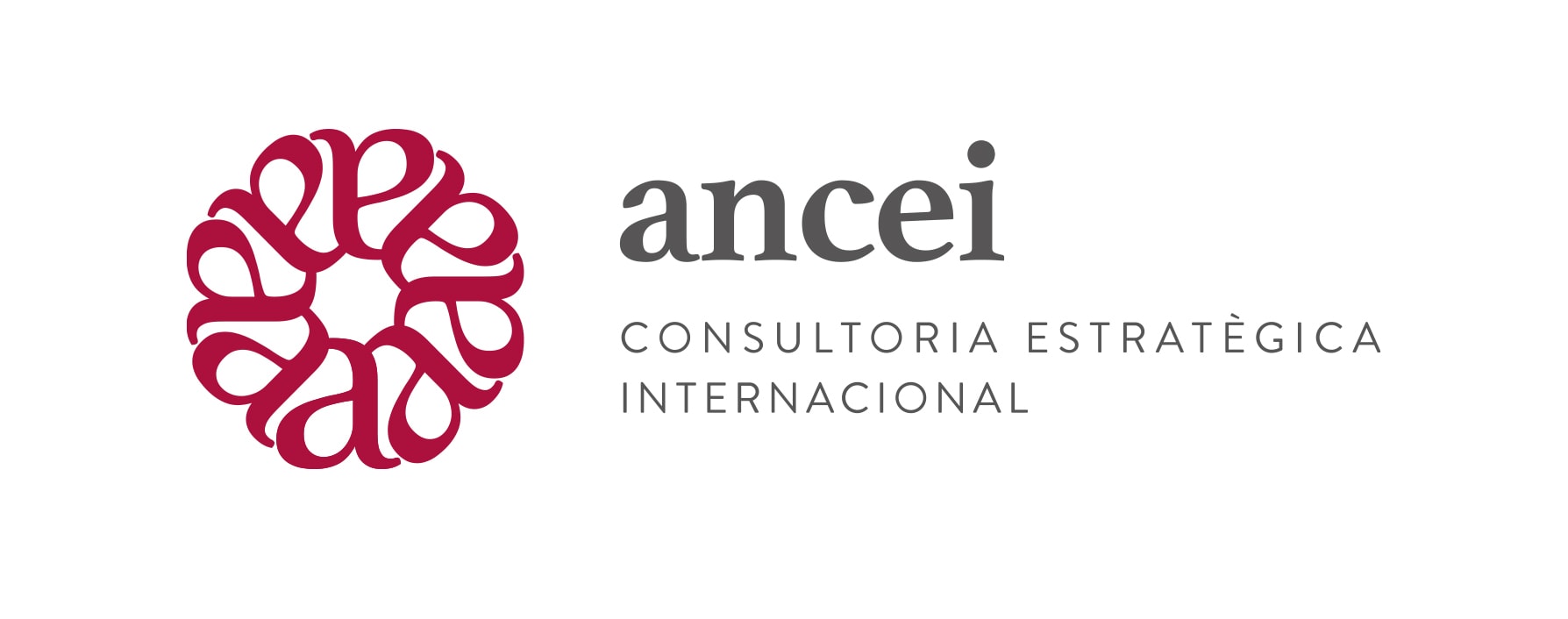 ANCEI Constultoria Estrategica Internacional, S.A. logo